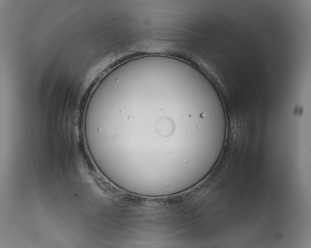 X0000112090682200908041048