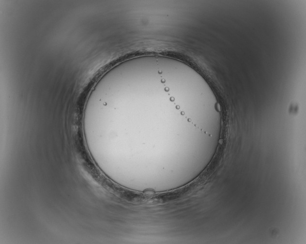 X0000112090683200908041048