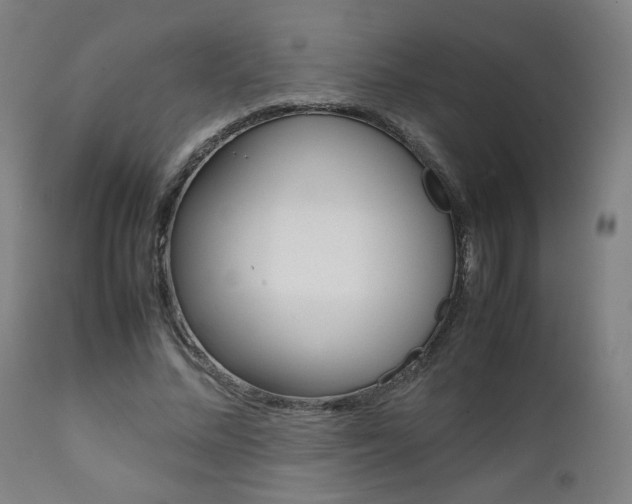 X0000112090684200908041048
