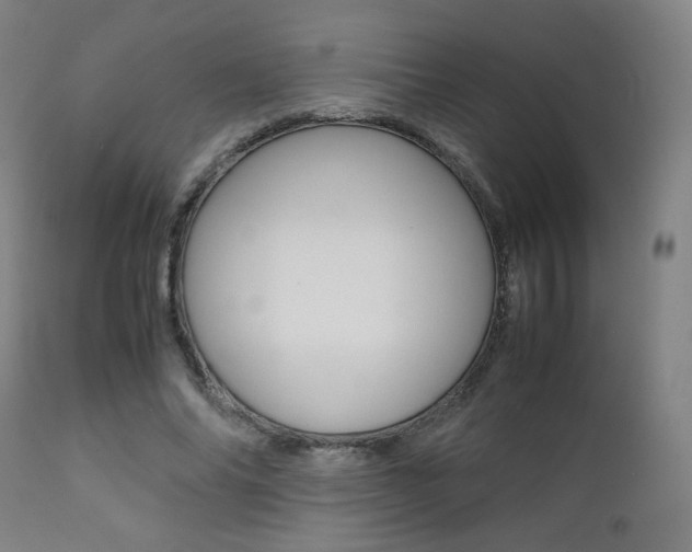 X0000112090686200908041048