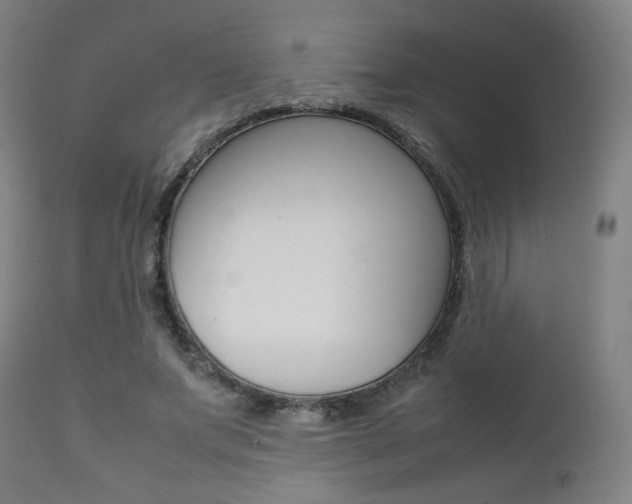 X0000112090687200908041048