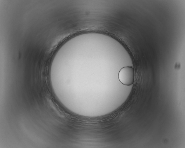 X0000112090688200908041048
