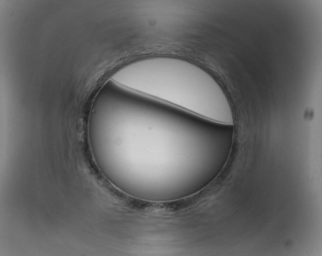 X0000112090689200908041048