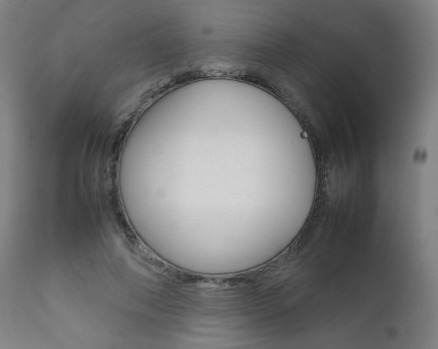 X0000112090690200908041048