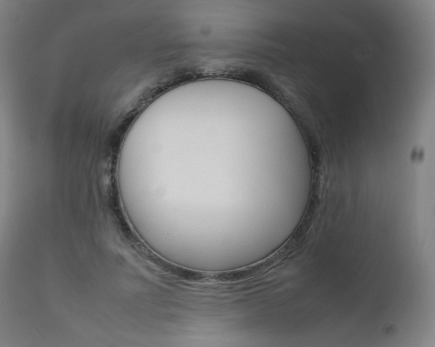 X0000112090691200908041048