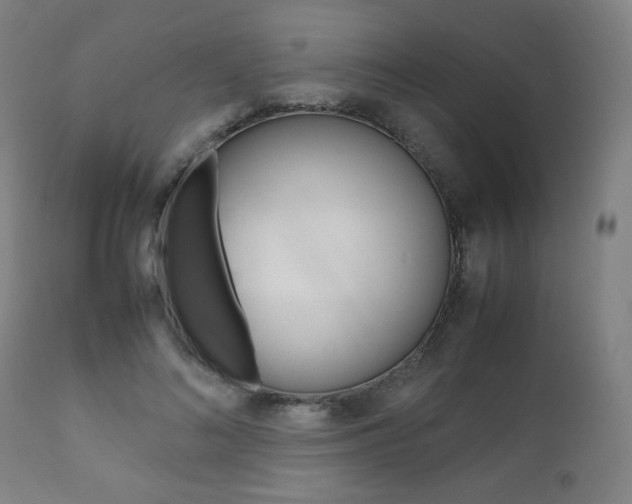 X0000112090692200908041048