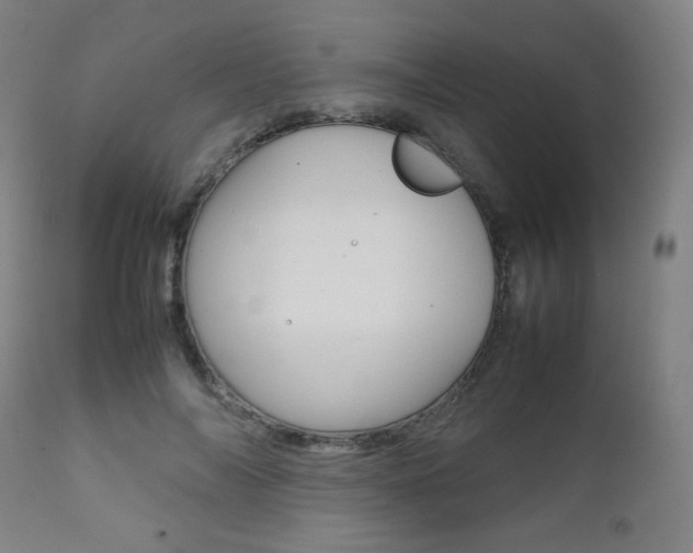 X0000112090694200908041048