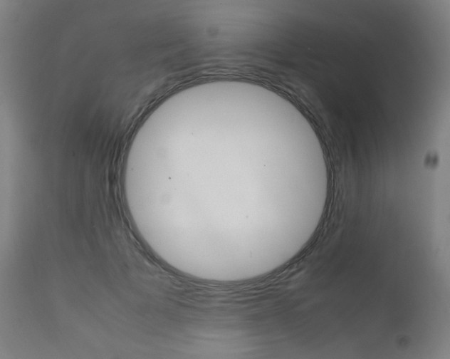 X0000112090697200908041048