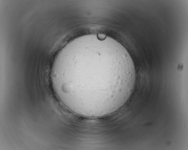 X0000112090698200908041048