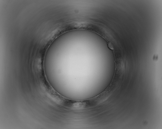 X0000112090700200908041048
