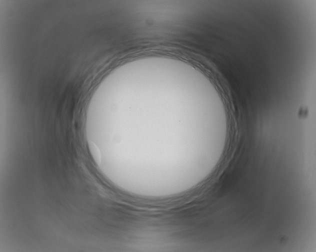 X0000112090701200908041048