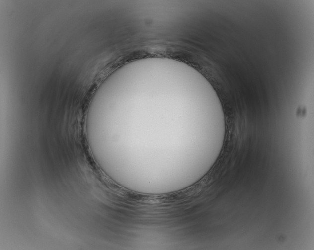X0000112090702200908041048