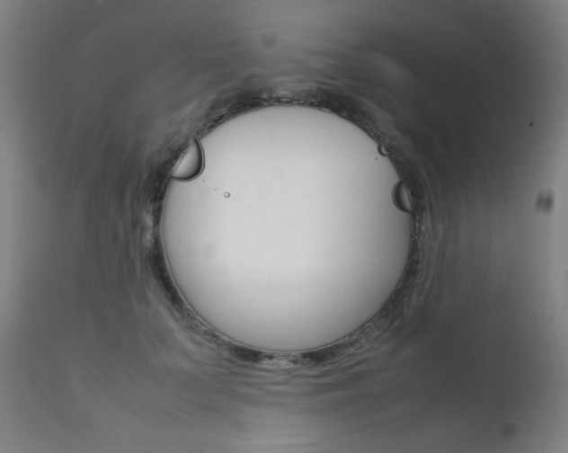 X0000112090703200908041048