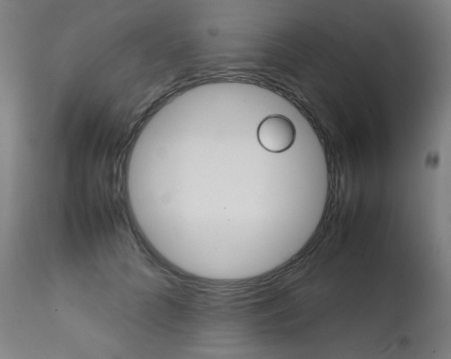 X0000112090704200908041048
