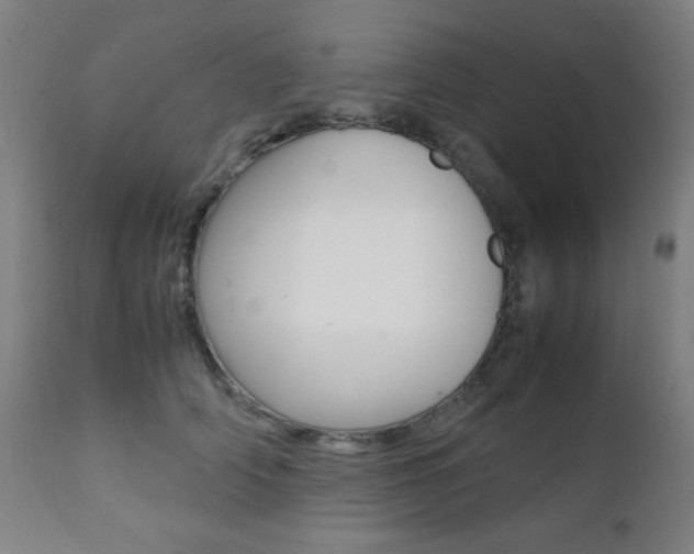 X0000112090706200908041048