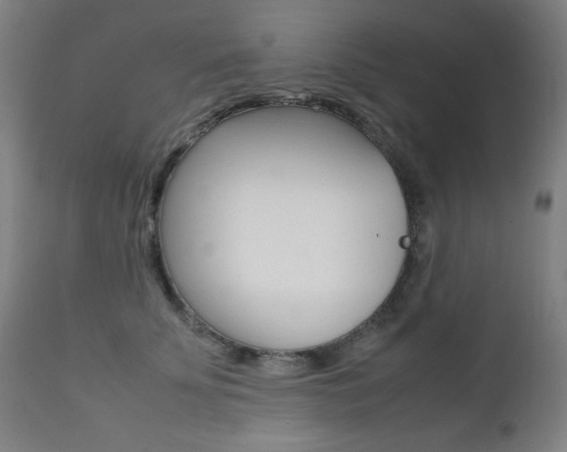 X0000112090707200908041048