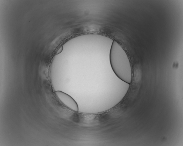 X0000112090709200908041048