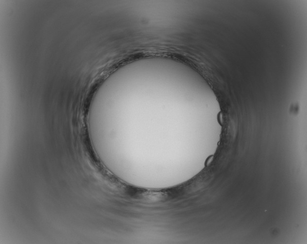 X0000112090711200908041048
