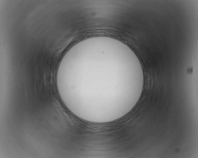 X0000112090712200908041048