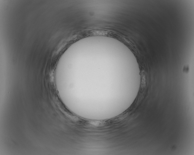 X0000112090713200908041048