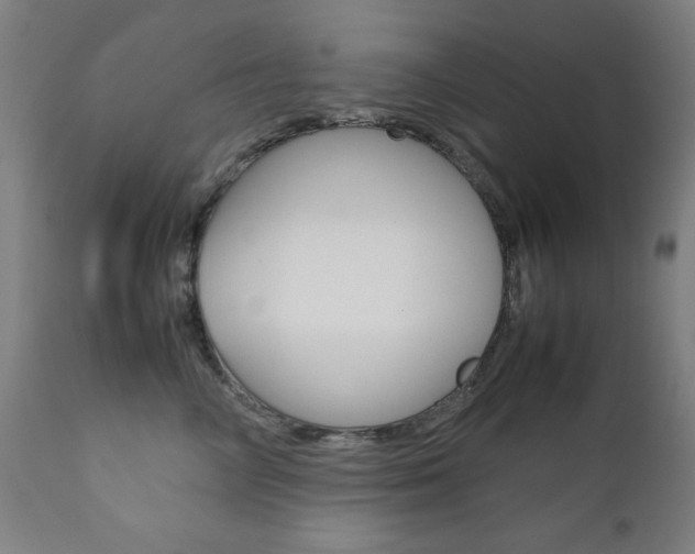 X0000112090714200908041048