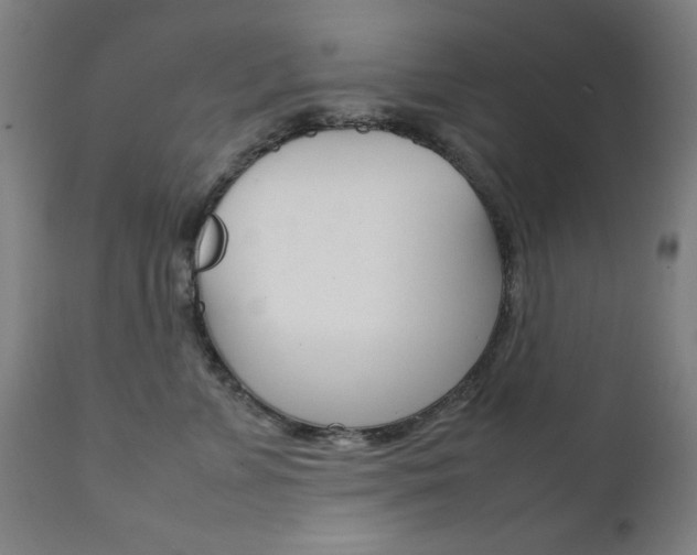 X0000112090715200908041048