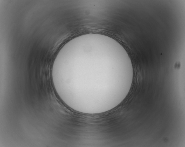 X0000112090716200908041048