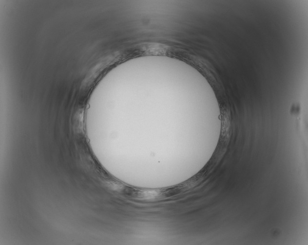 X0000112090717200908041048