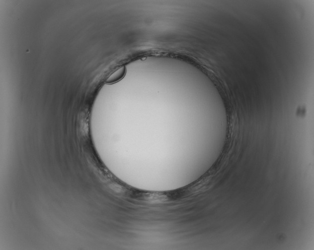 X0000112090719200908041048