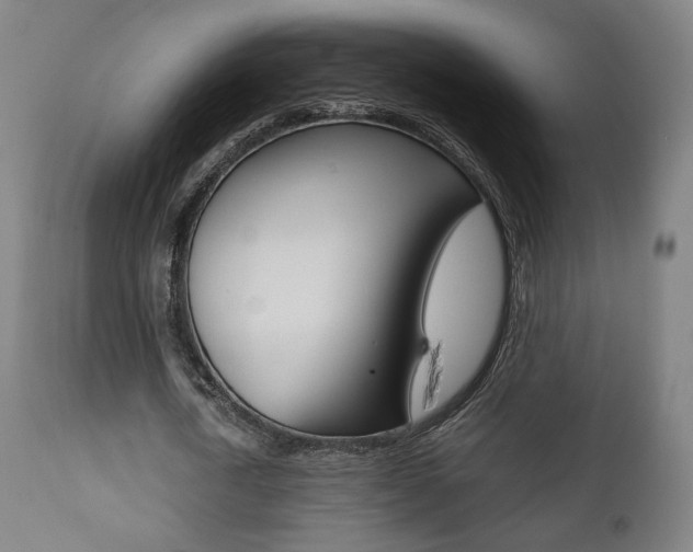 X0000112090722200908041047