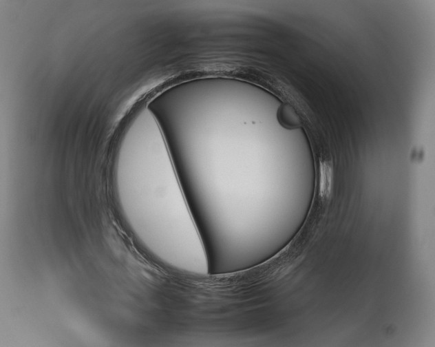 X0000112090723200908041047