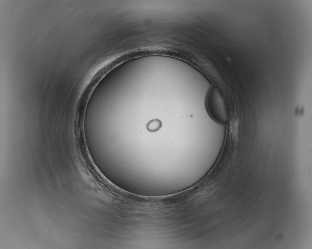 X0000112090724200908041047