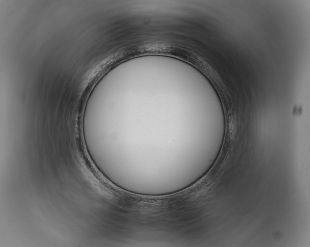 X0000112090725200908041047