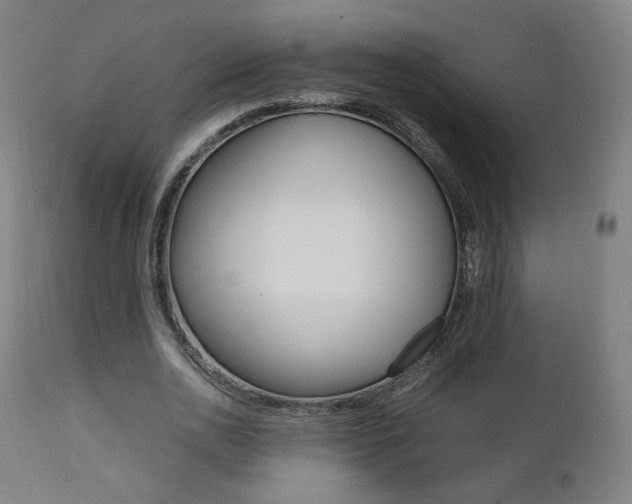 X0000112090726200908041047
