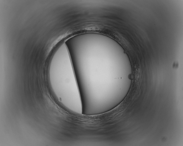 X0000112090727200908041047