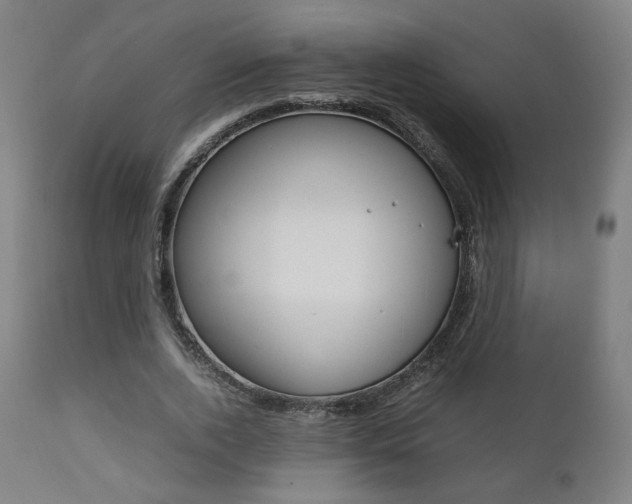 X0000112090728200908041047