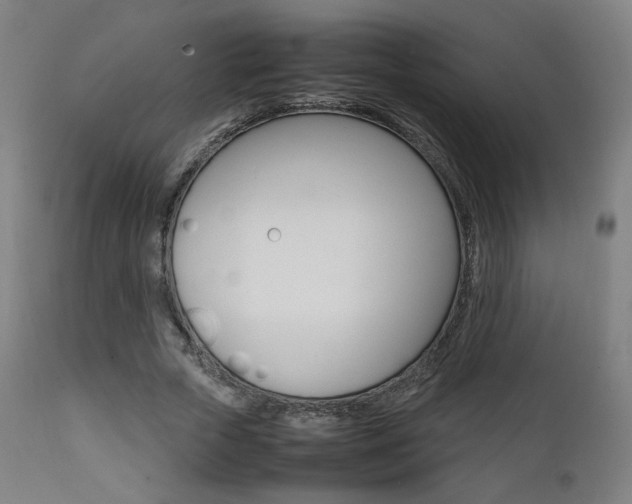 X0000112090729200908041047
