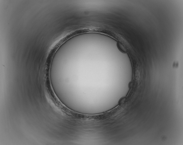 X0000112090730200908041047