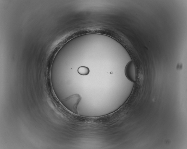 X0000112090732200908041047