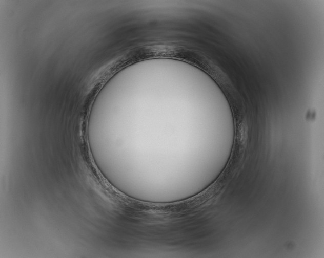 X0000112090733200908041047