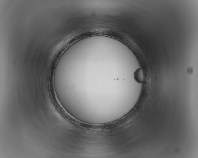 X0000112090734200908041047