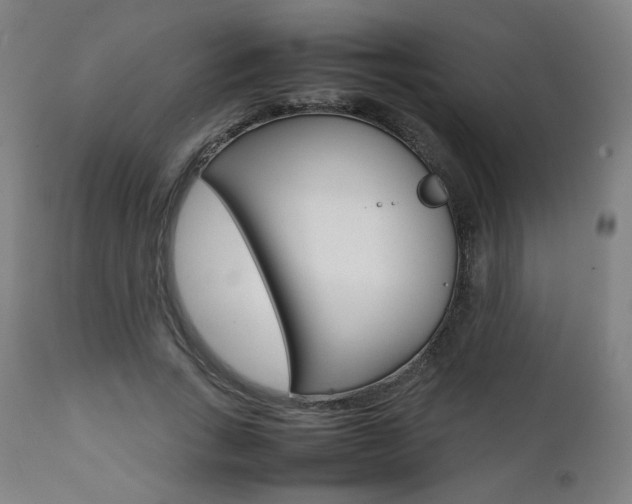X0000112090735200908041047