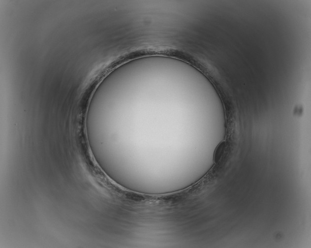 X0000112090736200908041047