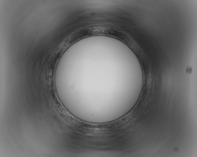 X0000112090737200908041047