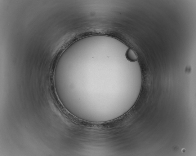 X0000112090738200908041047