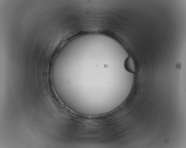 X0000112090739200908041047