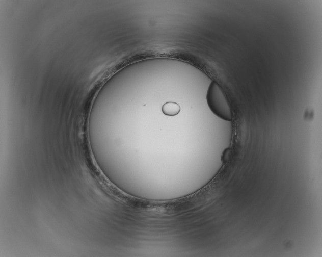 X0000112090740200908041047