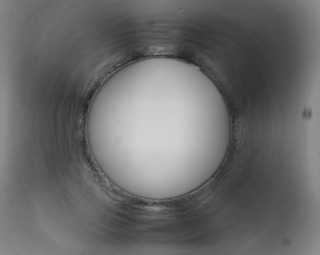 X0000112090741200908041047