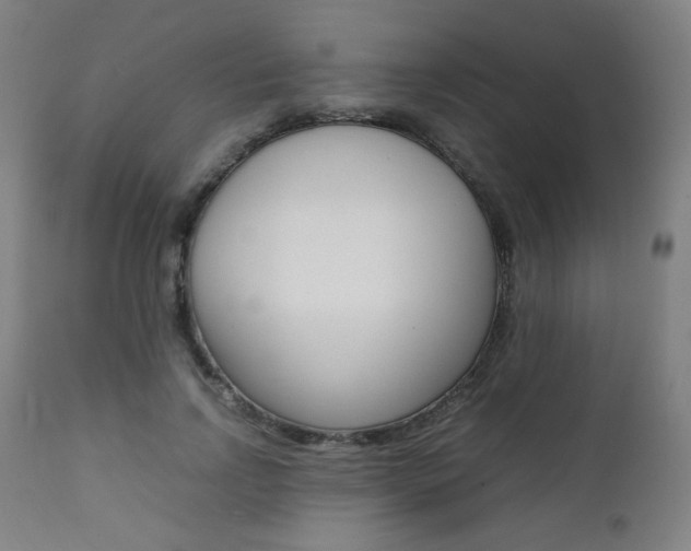 X0000112090742200908041047