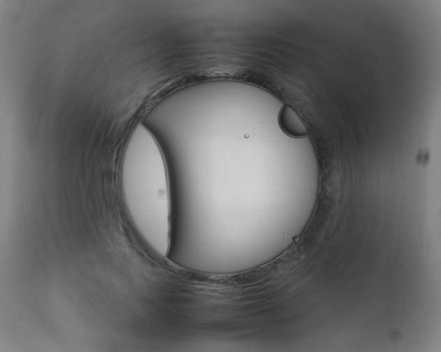 X0000112090743200908041047
